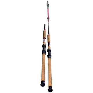 Jenzi Siluro Special Bait Master Glass Wallerrute