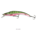 Team Cormoran Miniwatu SD90