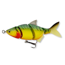 Team Cormoran ME-RA Shad S
