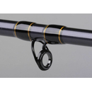 Spro SALTIX 2,40m 100-250gr