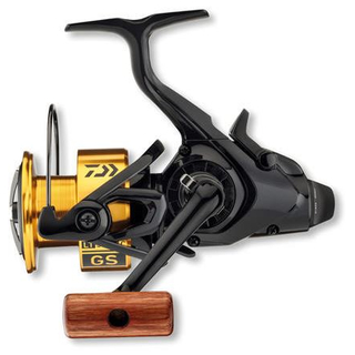 Daiwa 2020 GS BR LT Freilaufrolle