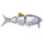 Spro BBZ 2.5 Crank-N Swim 6,5g 6,3cm B.B.Herring