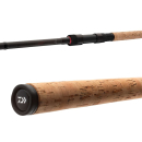 Daiwa Black Widow XT Bait Allroundrute 3,00m 50-125g 2tlg